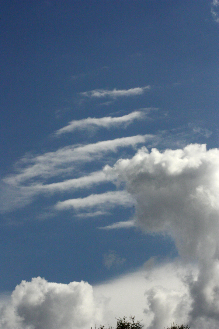 Wolken-Formation