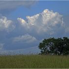 Wolken - Freunde der Landwirte