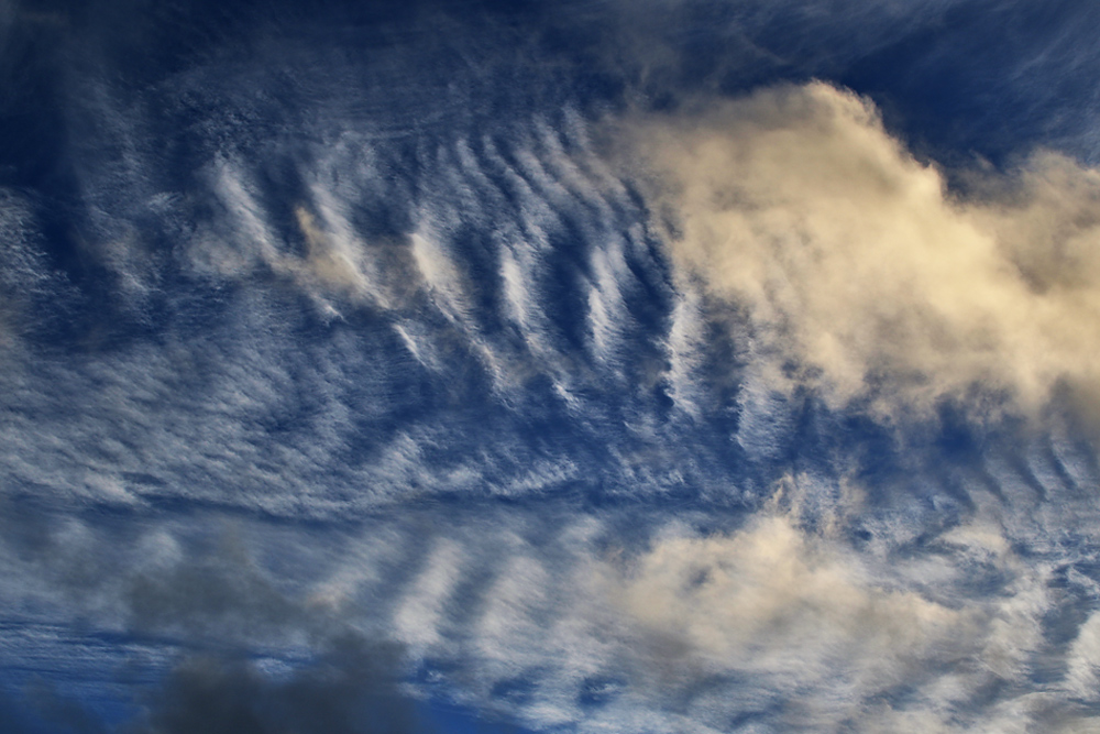 "Wolken-Gerippe"