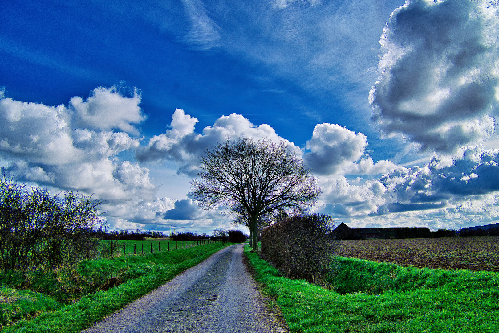 Wolken-Herrlichkeit