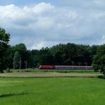 Wolken-Himmel-Reich