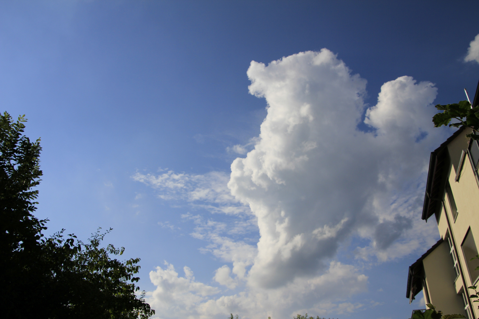 Wolken Hund