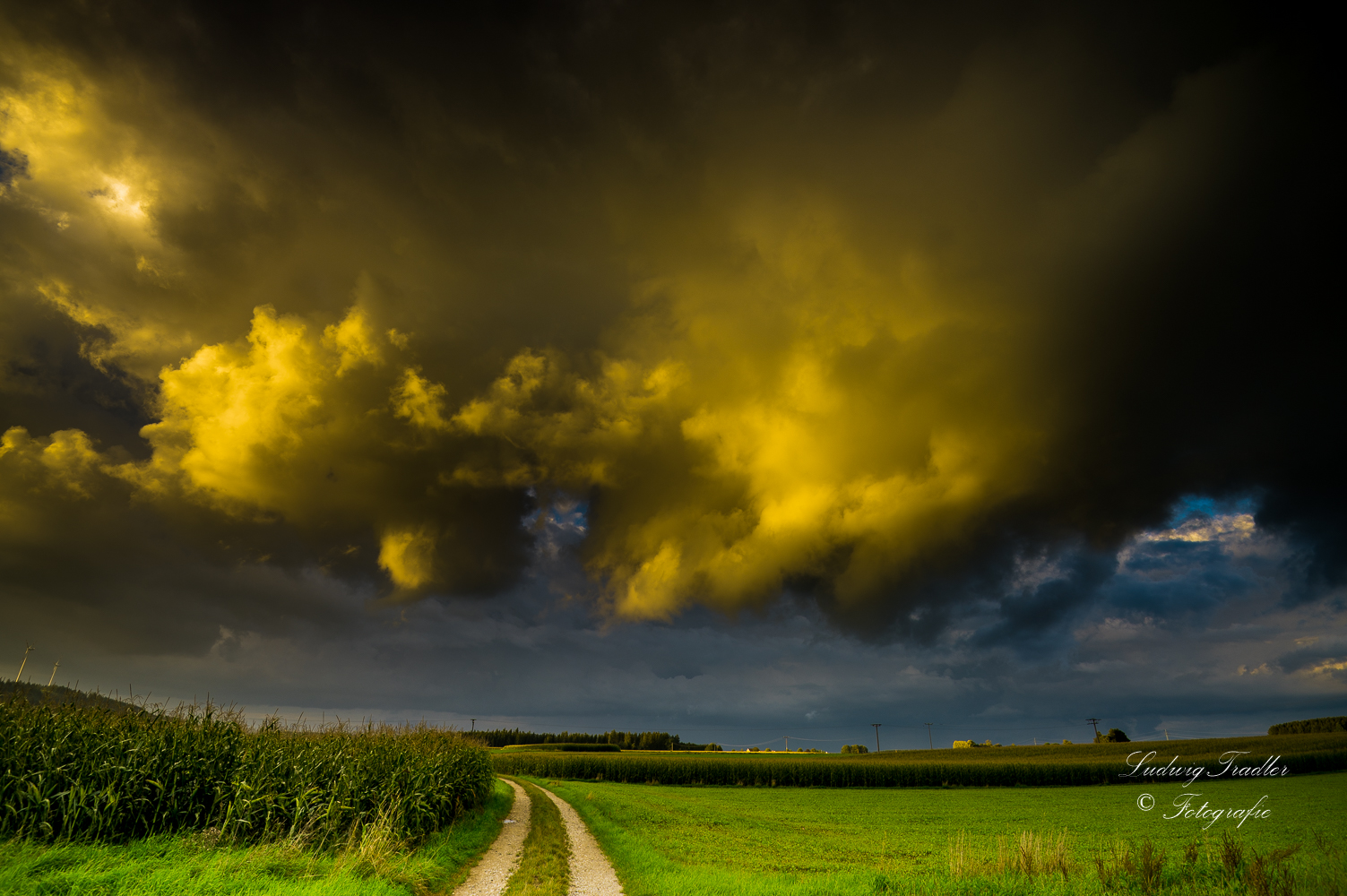 Wolken im Abendlicht 