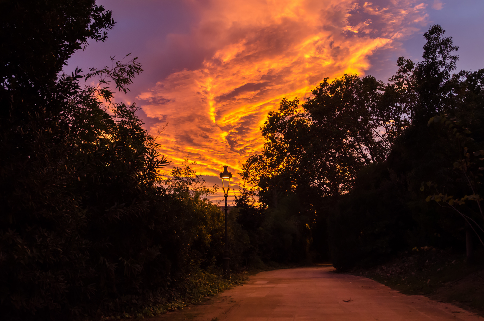 Wolken im Abendrot