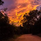 Wolken im Abendrot