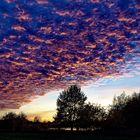 Wolken im Abendrot