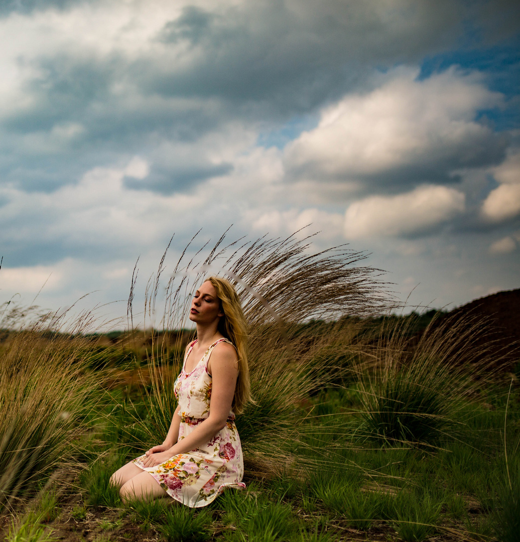 Wolken im Moor