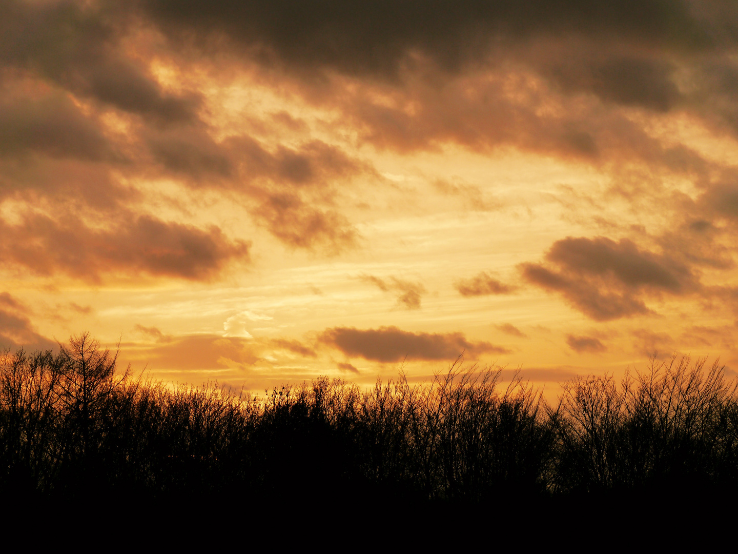 Wolken im Sonnenuntergang