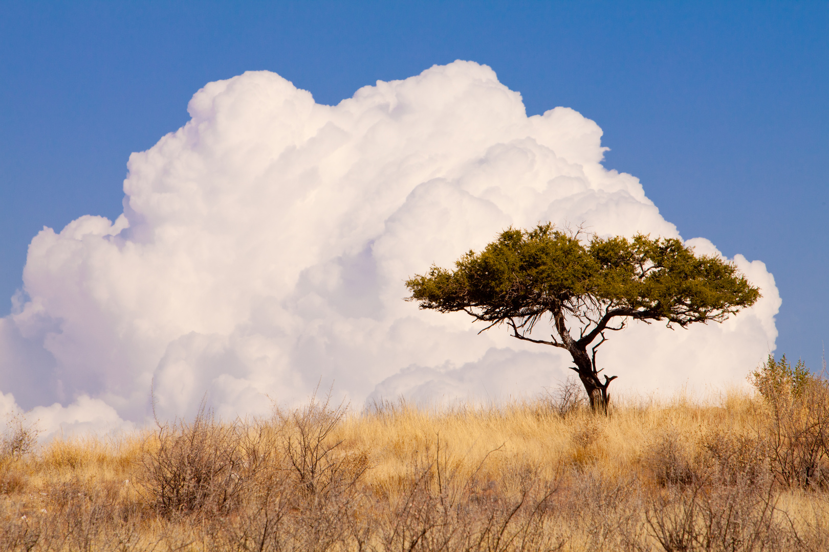 Wolken in Afrika