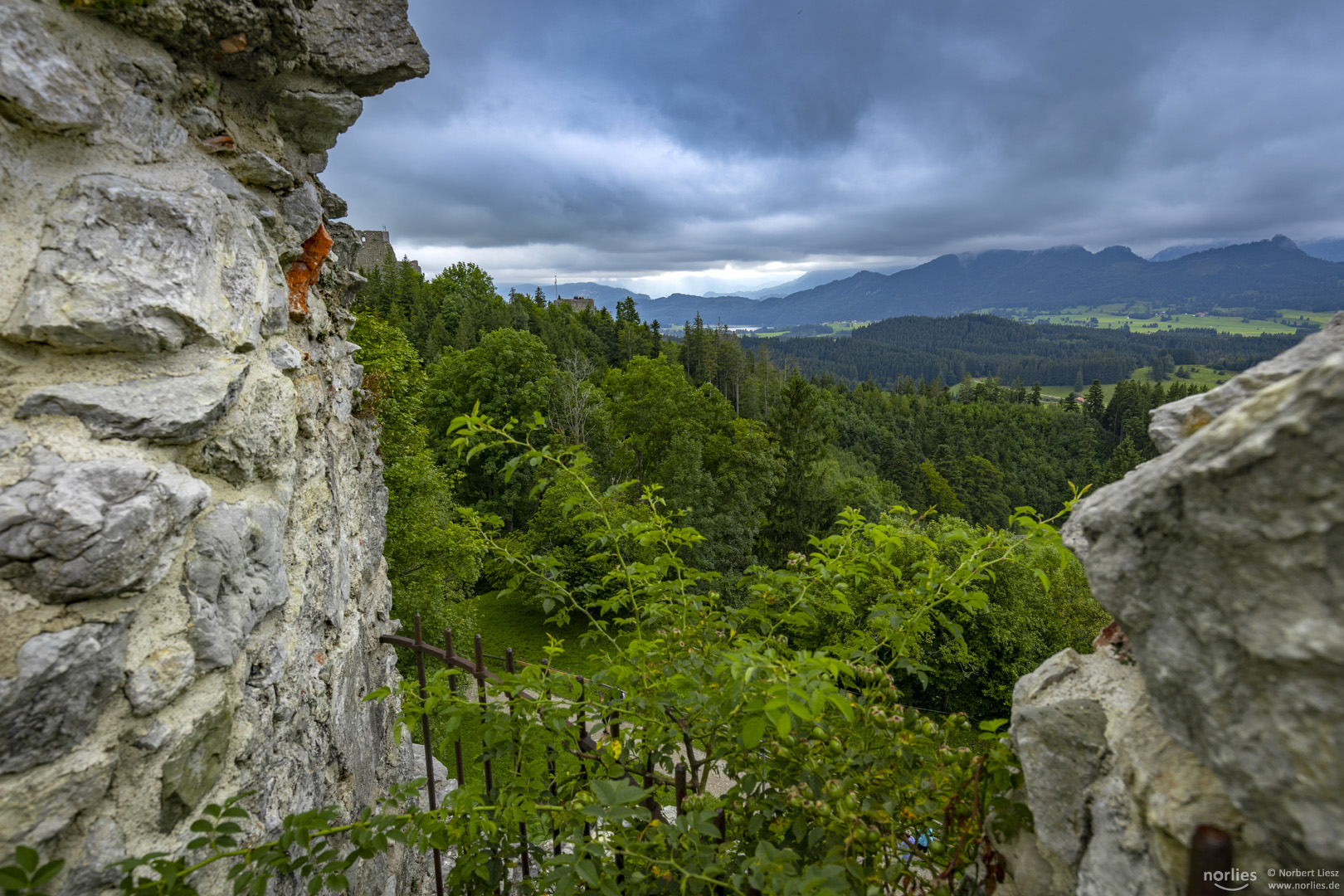 Wolken in den Bergen