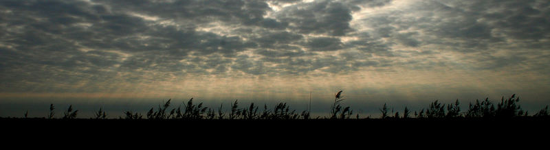 Wolken in der Camargue