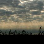 Wolken in der Camargue