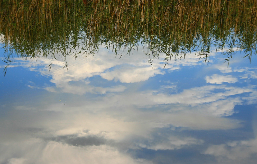 Wolken in der Wörnitz