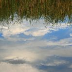 Wolken in der Wörnitz