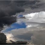 Wolken in Fischform ja, aber ein Riesenfisch wie dieser ??? 