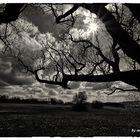 Wolken in Mai