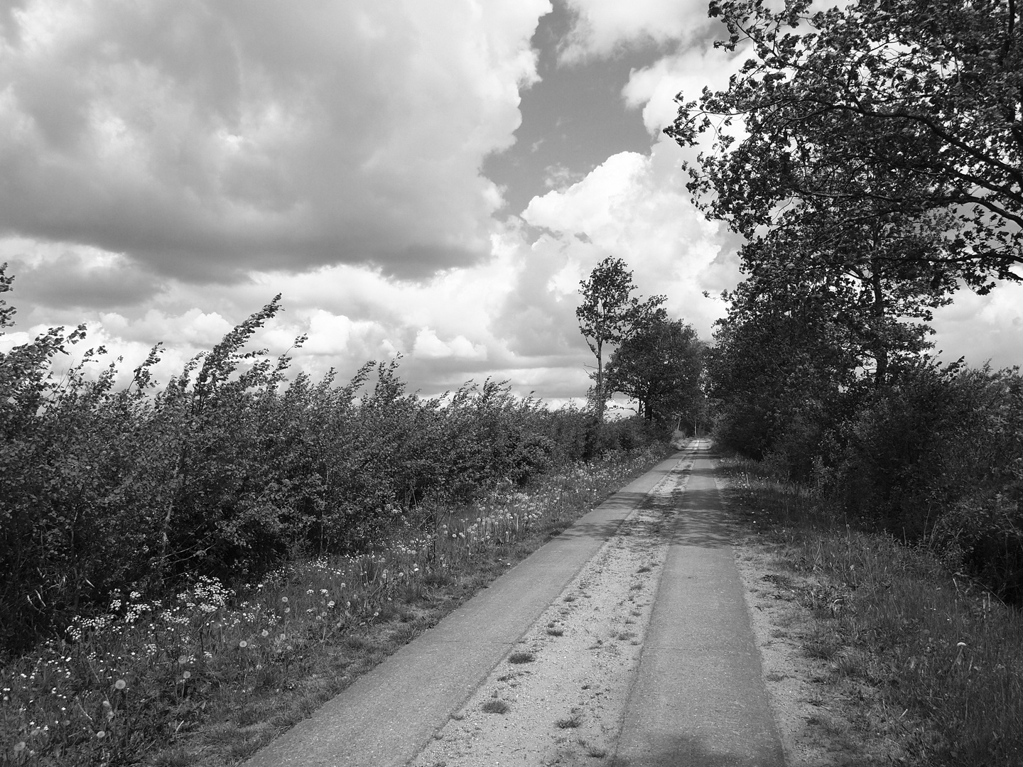 Wolken in Schleswig-Holstein