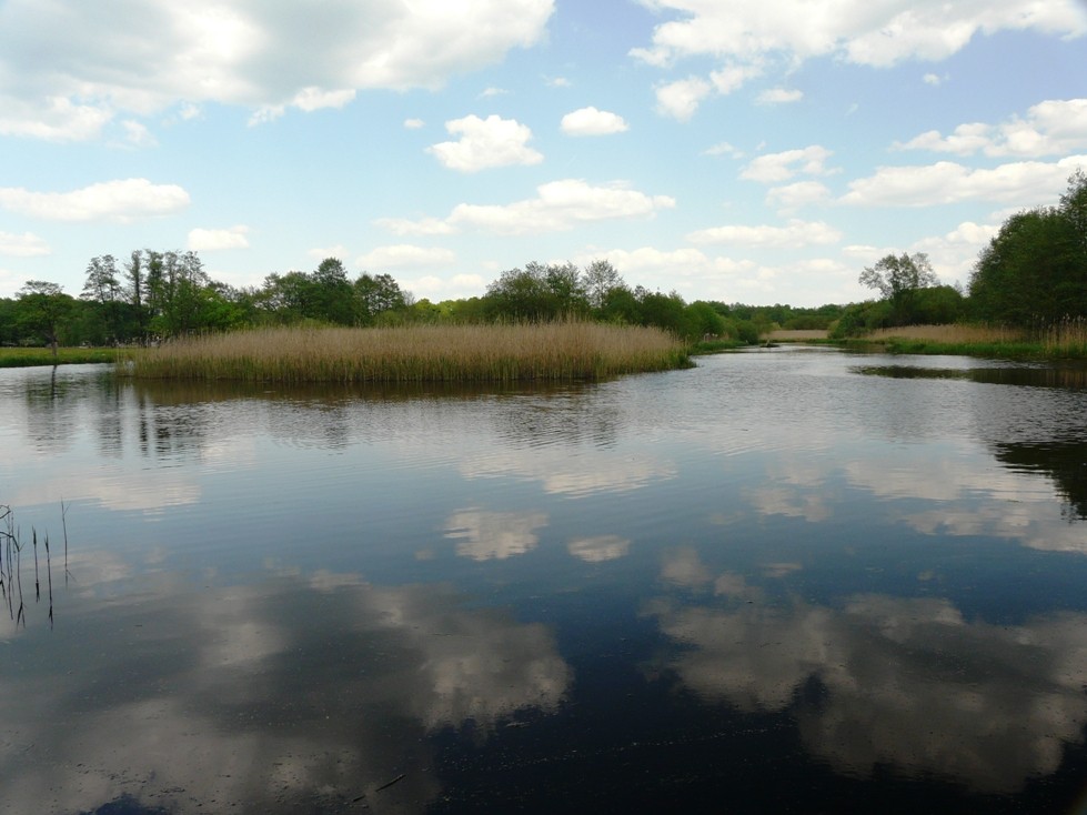 Wolken in Sicht