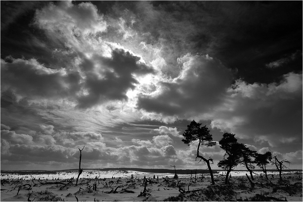 Wolken jagen übers Wintervenn