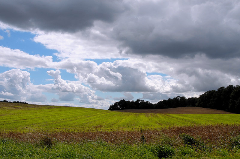 Wolken-Land