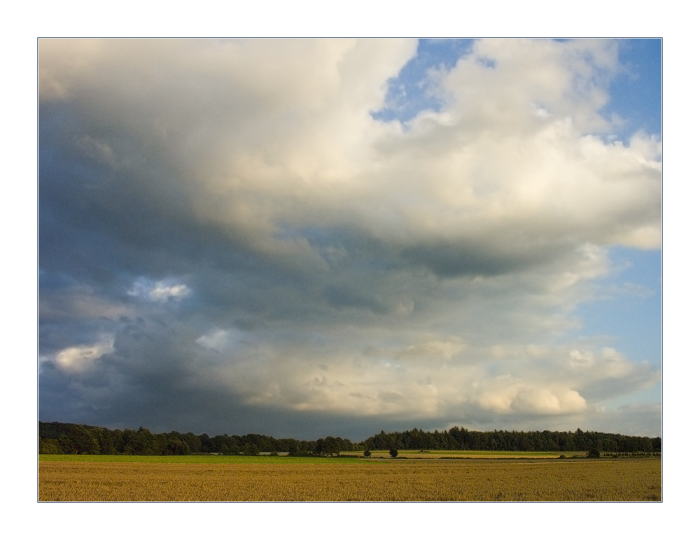 Wolken, Licht und keine Distel... (RELOAD)