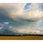 Wolken, Licht und keine Distel... (RELOAD)