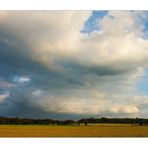 Wolken, Licht und keine Distel... (RELOAD)