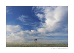 Wolken Locken und "Er"