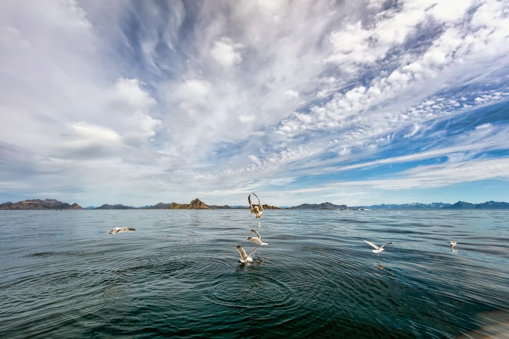 Wolken, Meer und Möven