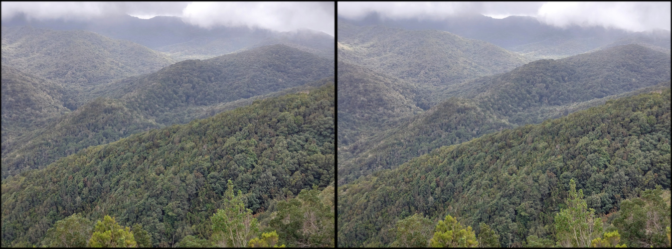 Wolken melken (3D  Parallelblick stereo)