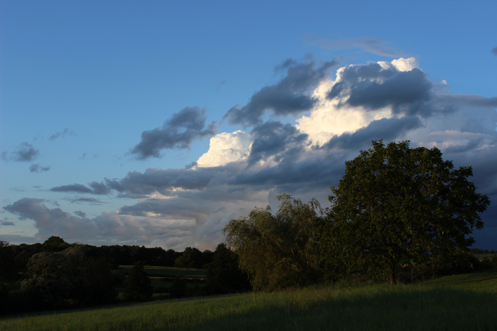 Wolken mit Bäumen