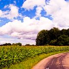 Wolken mit Mais und Bäumen