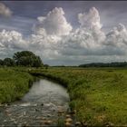 Wolken mit Pferden