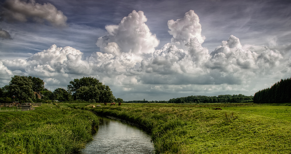 Wolken mit Pferden