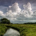 Wolken mit Pferden