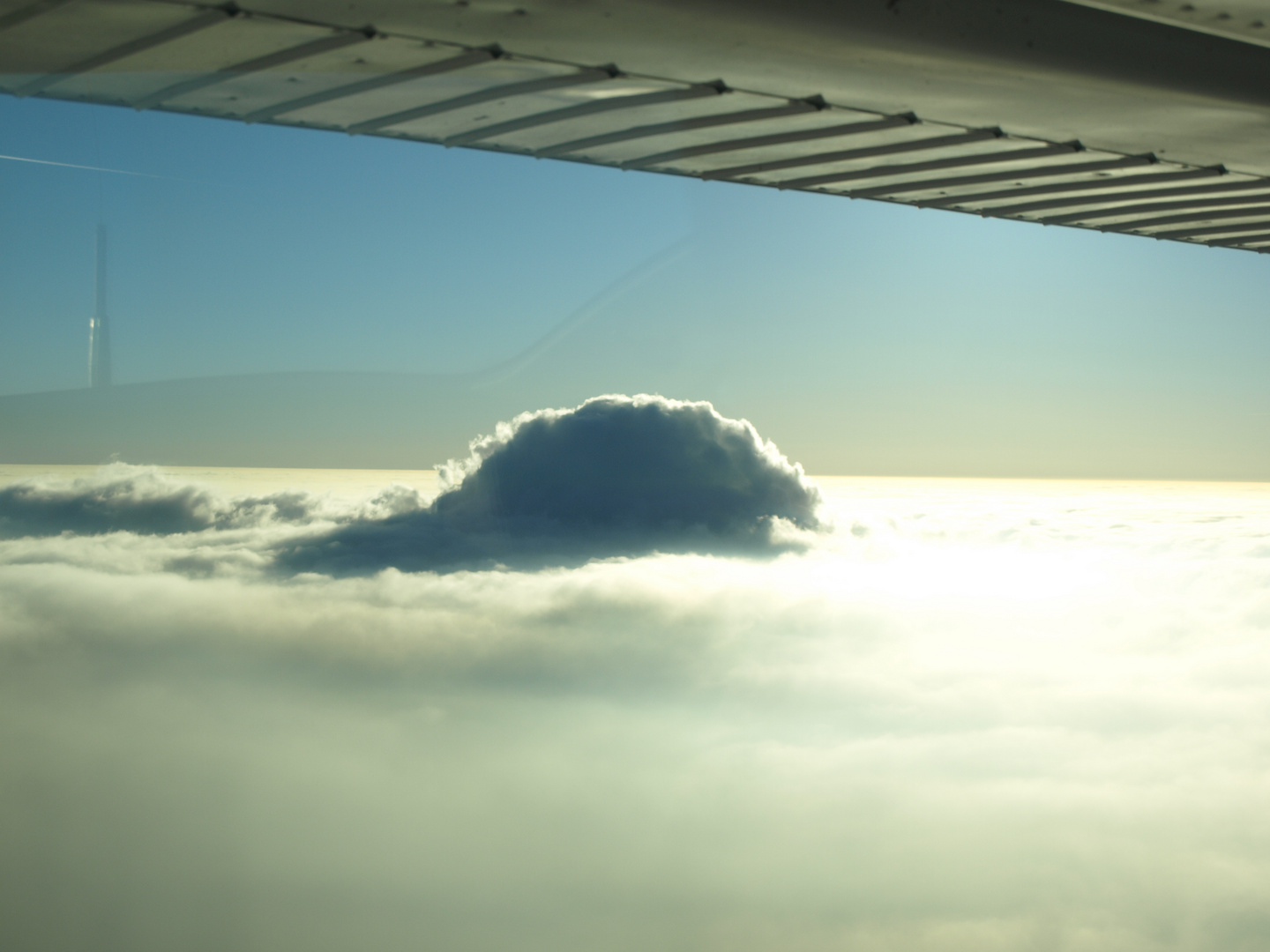 Wolken-Nasenbär....