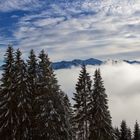 Wolken-Nebel-Schneegestöber