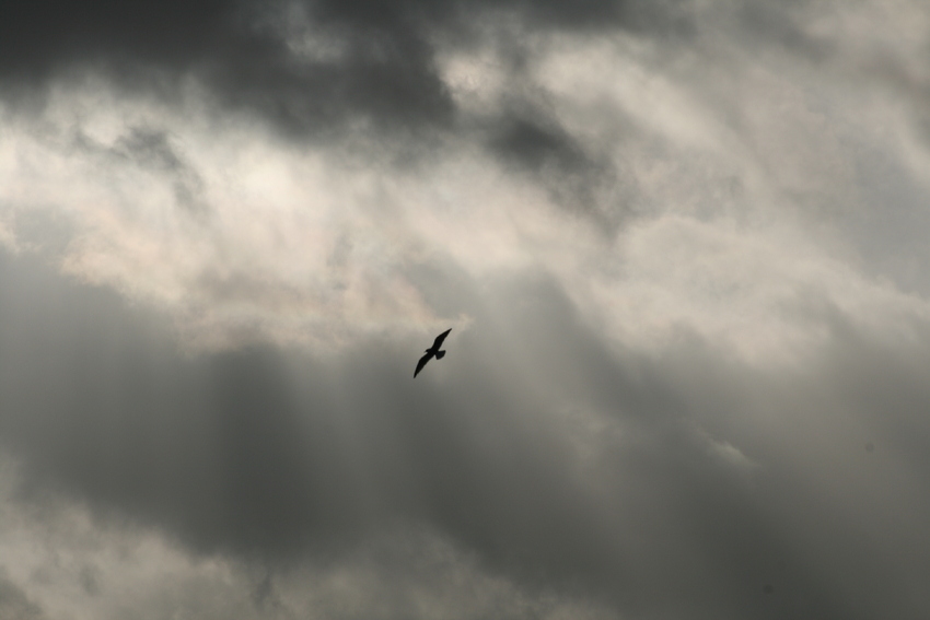 Wolken Nr.2