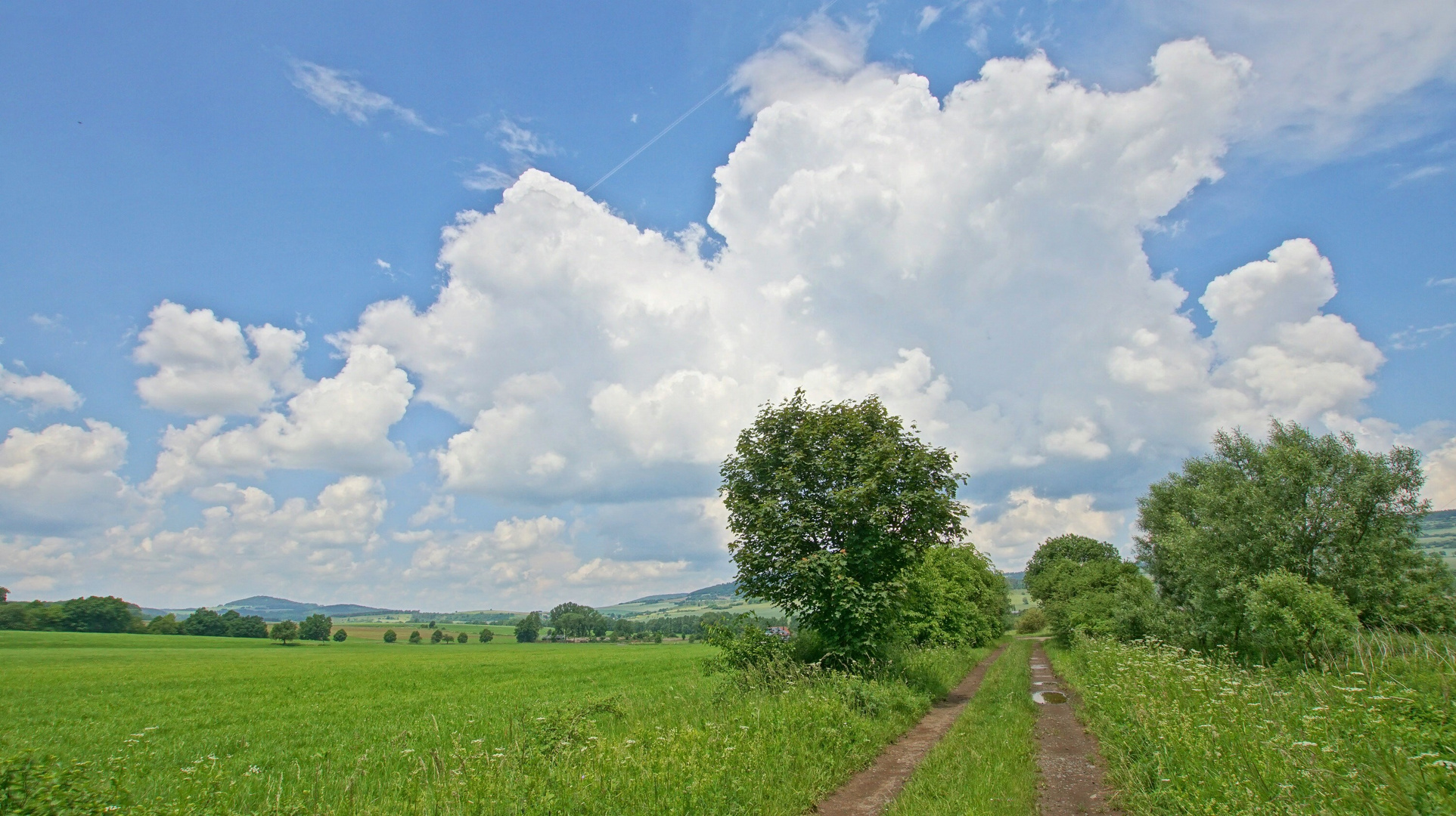 Wolken (nubes)