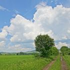 Wolken (nubes)