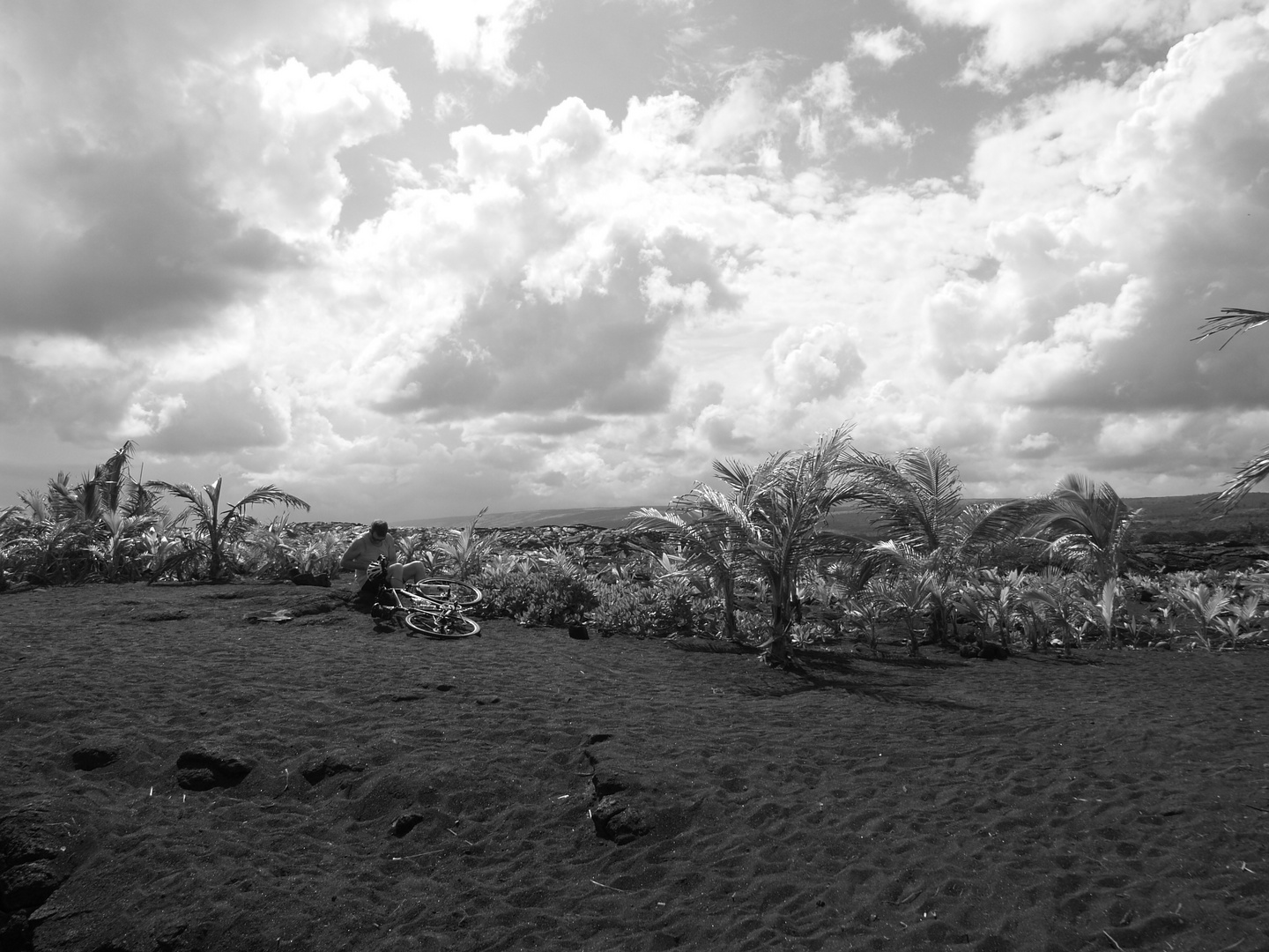 Wolken - Palmen - Lavasand