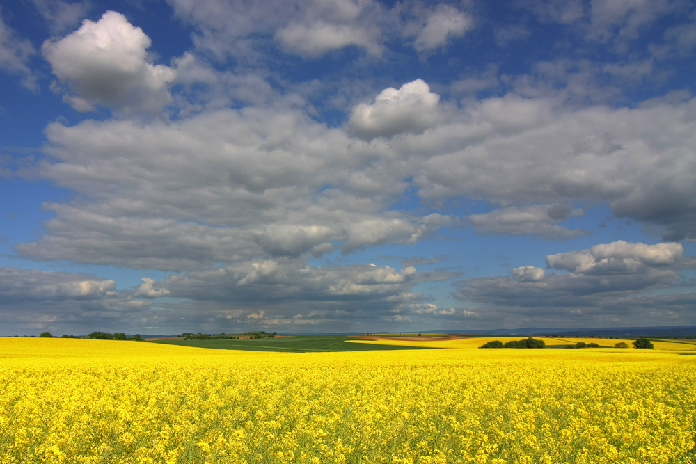 Wolken & Raps