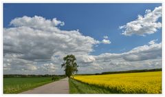 Wolken, Raps und weite Felder