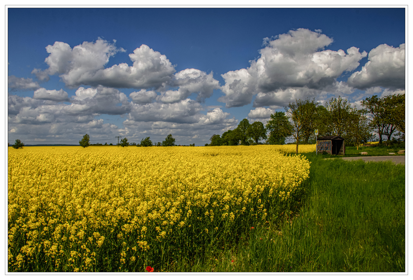 Wolken, Raps und Wendehammer