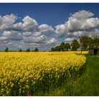 Wolken, Raps und Wendehammer