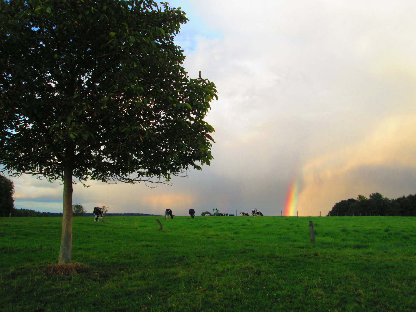 Wolken, Regenbogen und Land(wirt)schaft