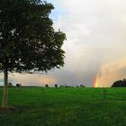 Wolken, Regenbogen und Land(wirt)schaft