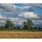 Wolken - regenschwer