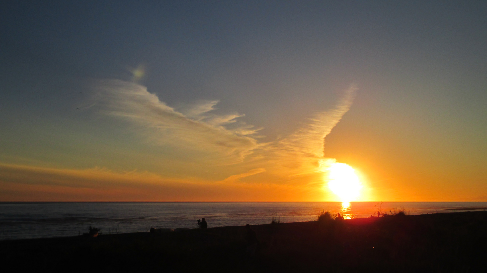 Wolken-Seeadler