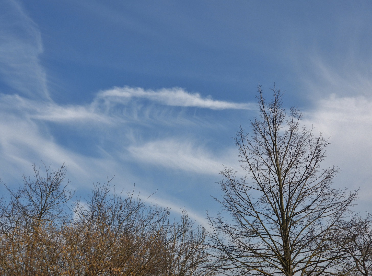 Wolken -Skelett